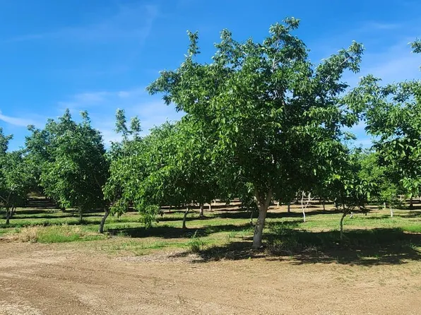 George Rd, Williams, CA 95987