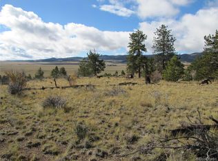 206 Bandolier Court, Hartsel, CO 80449