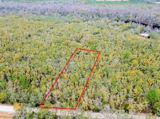 10 NE Tansy Rd LOT 29, Mayo, FL 32066