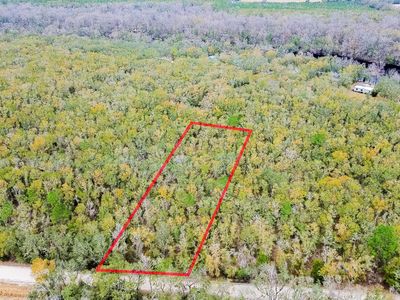 10 NE Tansy Rd Lot 29, Mayo, FL, 32066