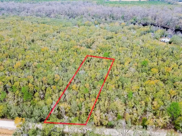 10 NE Tansy Rd Lot 29, Mayo, FL 32066