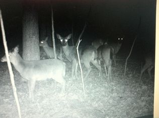 Elk Run Church Rd, Midland, VA 22728