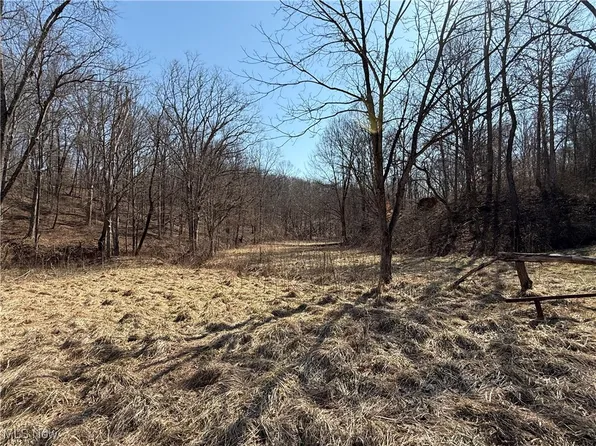 755 Copper Ln, Friendly, WV 26146