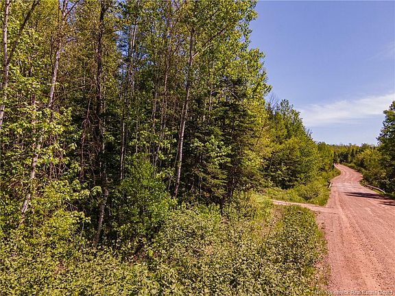 5th image of LOT Creek Rd