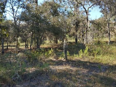 SW 206th Ave, Dunnellon, FL, 34431