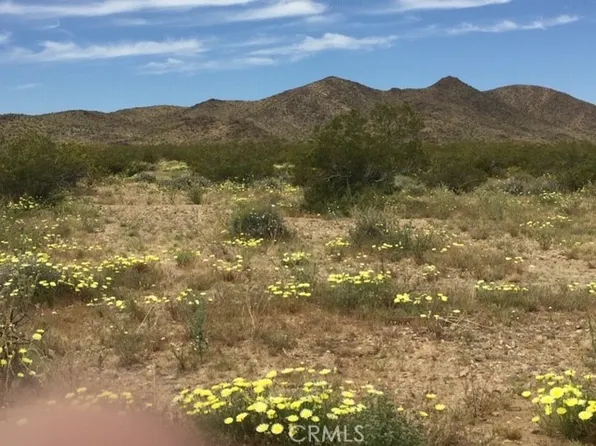 724 Chebur Rd, Landers, CA 92285