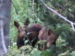 1168 W Deep Forest Rd, Coalville, UT 84017