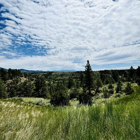 4055 Sunset Ridge Dr — Photo 41