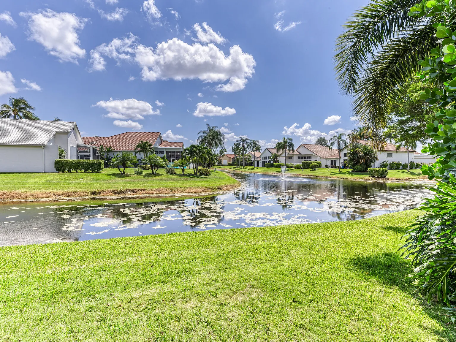 3 bed, 2.0 bath, 1667 sqft, $3,400 — Photo 4