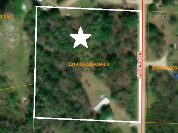 6742 Davies Ave, Onaway, MI 49765