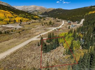 18 Coot Pl #2, Alma, CO 80420