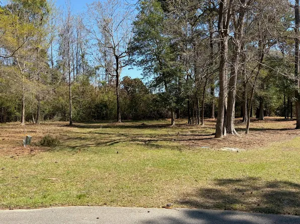 429 Burgee Ct Lot 99, Castle Hayne, NC 28429