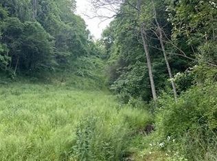 Sarchets Run Rd, Cambridge, OH 43725