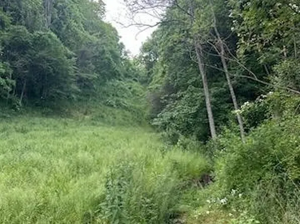 Sarchets Run Rd, Cambridge, OH 43725