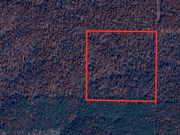 000 Highway 21, Doniphan, MO 63935