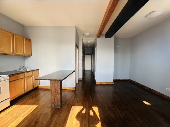 2428 W 24th Pl #2, Chicago, IL 60608