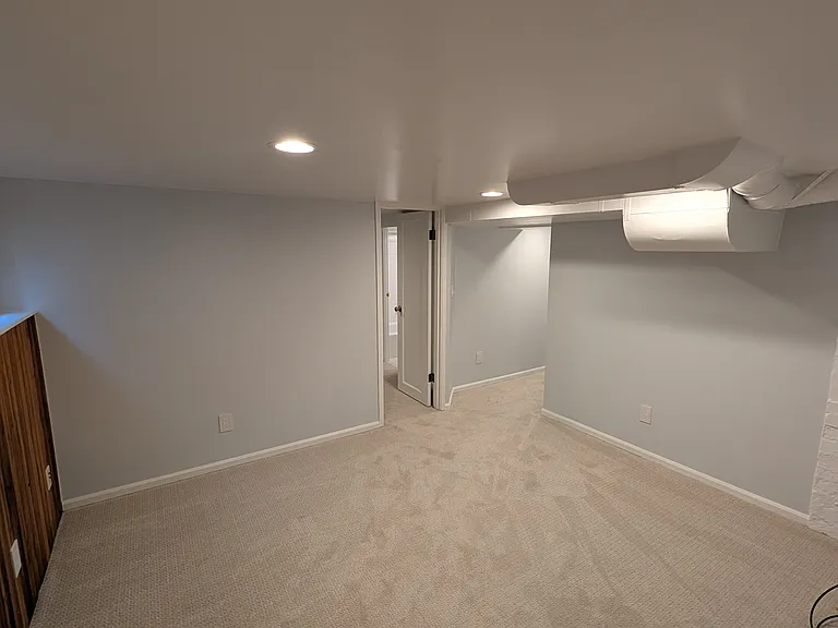 Downstairs living room (perfect for entertainment or exercise)