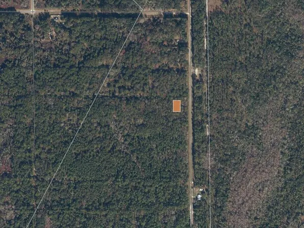 339 Chipola Drive, Georgetown, FL 32139