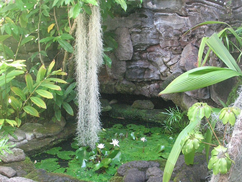 Waterfall below your entrance