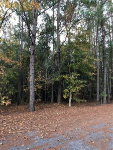 45 Whitetail Trl, Brunswick, GA, 31525
