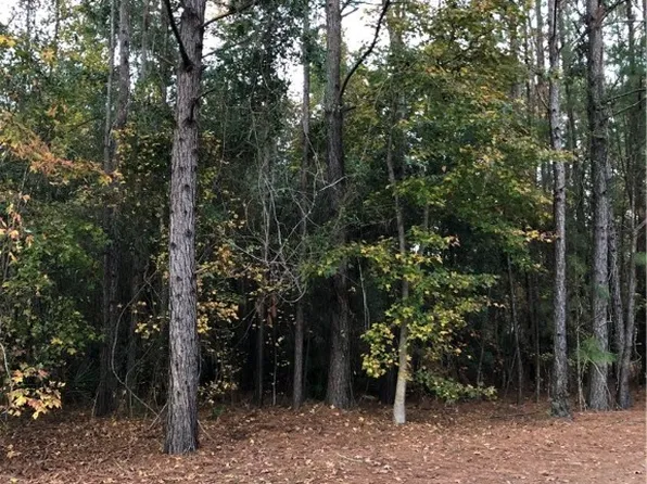 45 Whitetail Trl, Brunswick, GA 31525