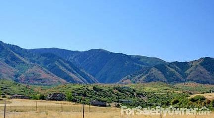 View from the backyard