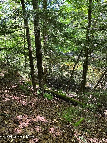 4th image of L34.110 US Route 9