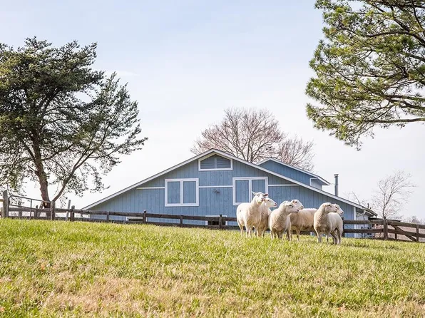 251 Whitetail Ln, Leasburg, NC 27291