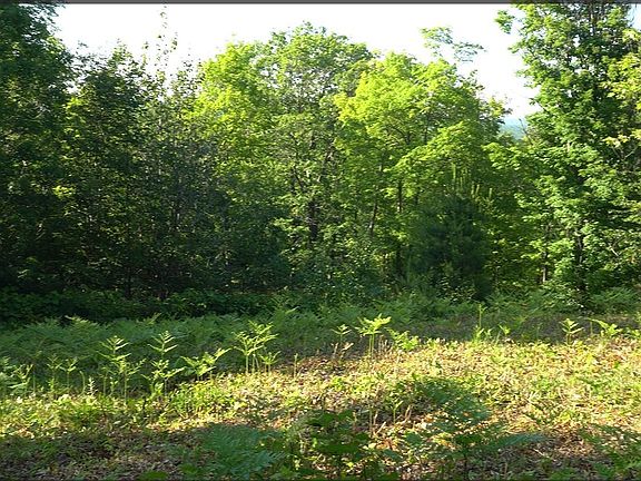 3rd image of LOT 83 Thirteen Ashwabay Rd