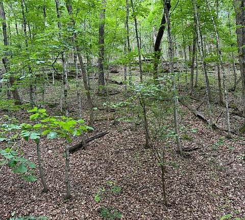 4th image of 000 Oak Thicket Lane