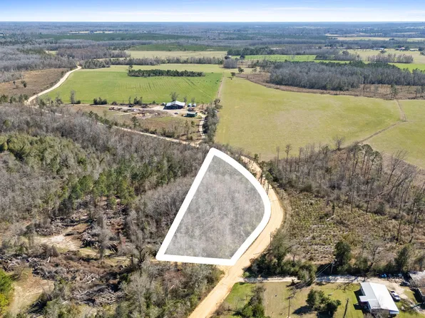 0 Swaills Rd, Alford, FL 32420