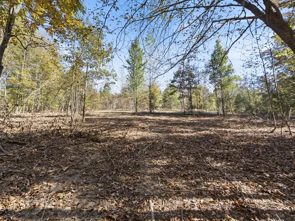 0 Bud Quirrell Rd Lot 8, Bon Aqua, TN 37025