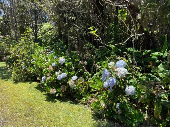 Liko Lehua Rd Lot 83, Volcano, HI 96785