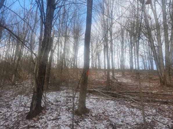 1.2 Marsh Rd #2, Erin, NY 14838