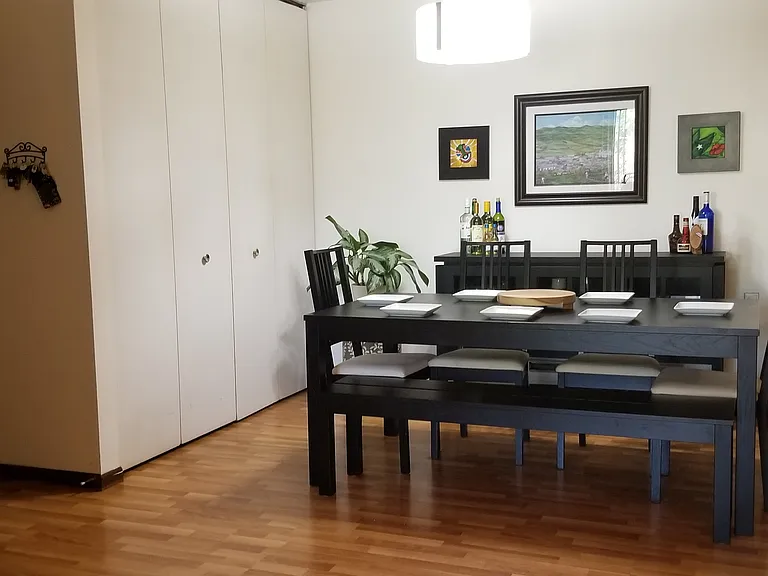Large, open dining and living room area with large, tall closet.