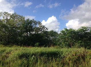 1101 7th Ave, Keaau, HI 96749