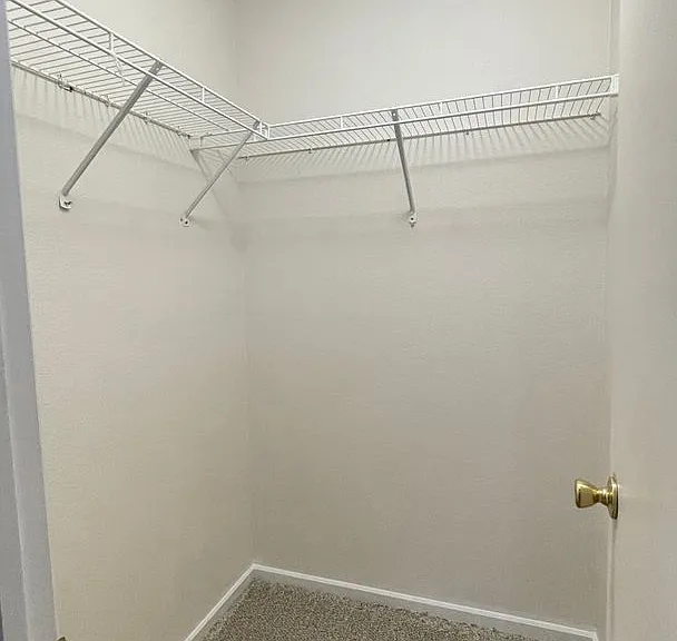 2738 Priest Dr — Photo 20