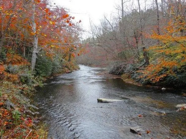 56 Brasstown, Warne, NC 28909