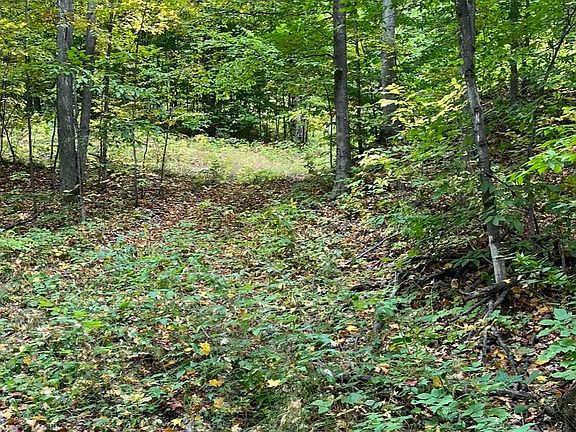 4th image of Tower Rd