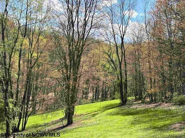 Porterfield Rd, Philippi, WV 26416