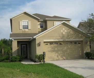 15546 Long Cypress Dr, Ruskin, FL, 33573