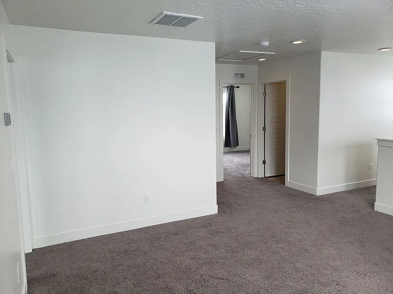 1033 S Vine St — Photo 41