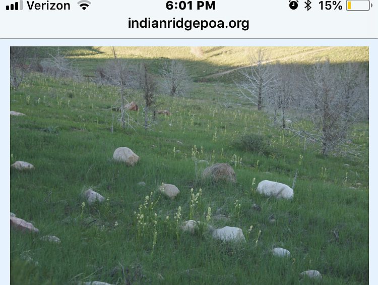 An acre of land for $9000.00