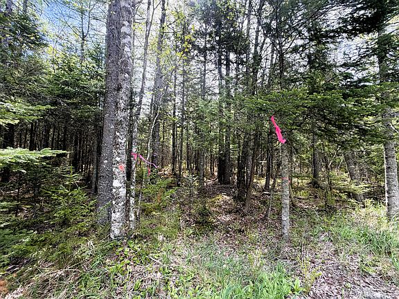 5th image of 59 High Head Road