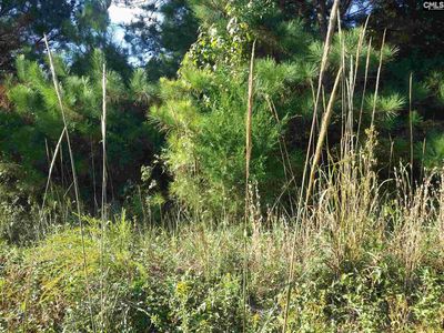 0 Us Highway 176, Pomaria, SC, 29126