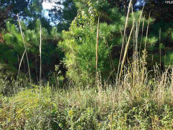 0 Us Highway 176, Pomaria, SC 29126