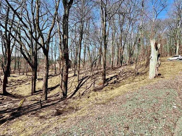 0 Bluebird Dr, Terra Alta, WV 26764