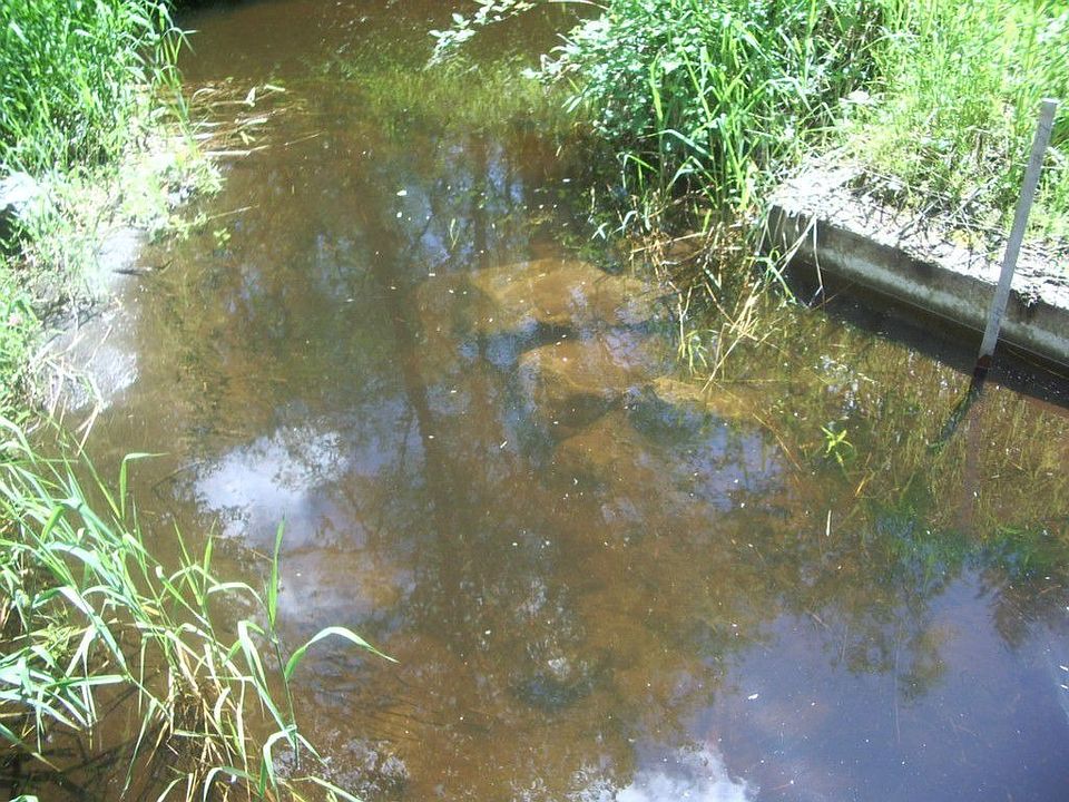 2nd image of 139 Paradise Dr