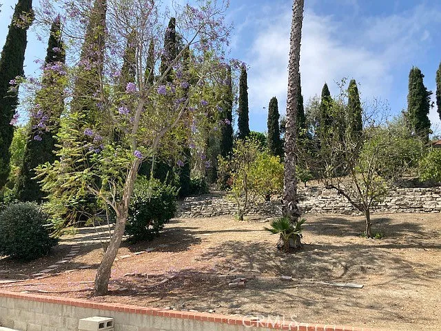 25042 Armagosa Dr — Photo 21