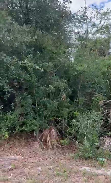 2nd image of 308 Jourferie RD